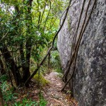 walkway on Pidurangala