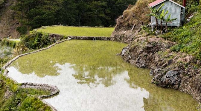 Our days in Sagada